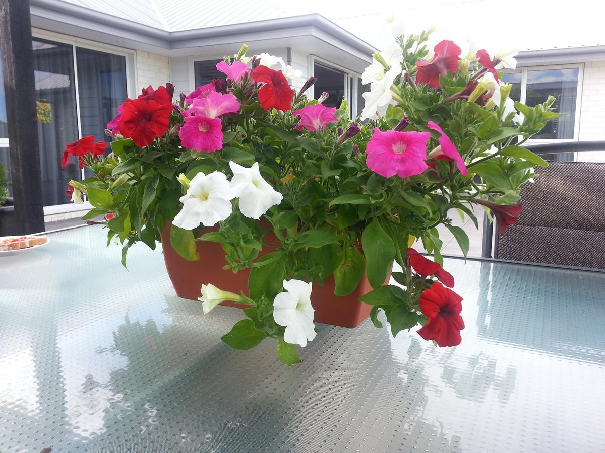 Courtenay B & B Kaiapoi Exteriör bild